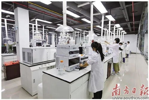 蓬江 以科技創(chuàng)新為引擎，新材料研發(fā)驅(qū)動(dòng)產(chǎn)業(yè)升級(jí)